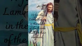 Revelation 7:16-17 God's Comforting Presence in Eternity