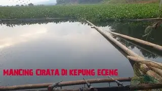 Mancing cirata Terbaru ||  Cikuda rakit aep, Sambaran nya sangat meresahkan  satu lapak cuma berdua