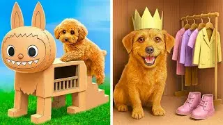 🐶✨😲 From Cardboard To Cozy 🛠️ Puppy DIY World