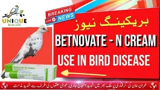 Betnovate -N cream Use in bird disease - Unique Birds info #betovarencream #birdsdisease