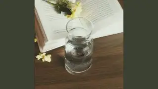 29's Diary