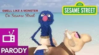 Sesame Street:  Grover Stars in 