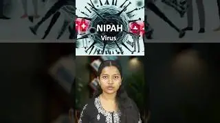 Nipah Virus Alert: More Dangerous Than Corona?