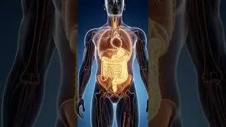 What Happens to Your Body When You Drink Buttermilk Daily