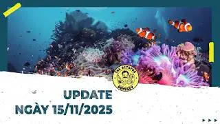 UPDATE bể cá biển ngày 15.11.2025
