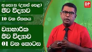 10 වන ඒකකය | ව්‍යාහාරික ජීව විද්‍යාව  -  01 වන කොටස | AL Bio Unit 10