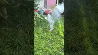 huevo de dragon #fireworks #pyrotechnica #pirotecnia #fishing #eventpyrotechnik