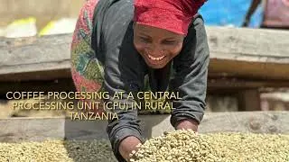 Coffee processing at a rural CPU in Tanzania