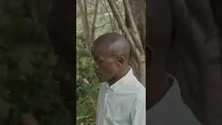 Le Bois Sacr&eacute; de l'Inanga au Rwanda