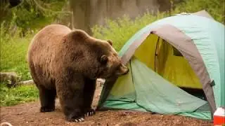 BUG OUT MONTANA - October is the Month of Shelter - 2017