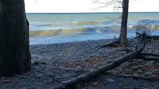 Lake Ontario Today, Upstate NY
