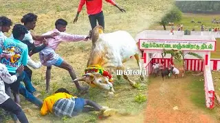 KEELA KOOTTAI MANJUVIRATTU 2026 || MANNAR MEDIA