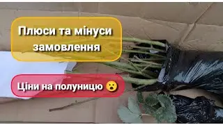 Інтернет магазин Flora shop (флора шоп) відгук та огляд замовлення: троянди, нектарин, полуниця 🍓