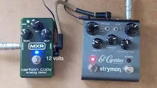 Strymon El Capistan vs MXR Carbon Copy (guitar & bass)