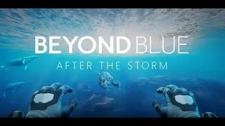 Beyond Blue: After the Storm VR - Full Review - Rate 6.5/10