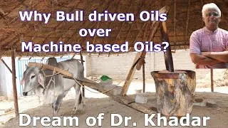 Why bull driven oils over machine based oils? Dream of Dr Khadar || Dr Khadar lifestyle
