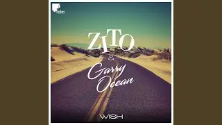 Wish (m.o.o.n. pro Remix)