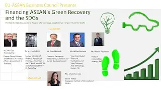 Webinar- Financing ASEAN's Green Recovery And The SDGs