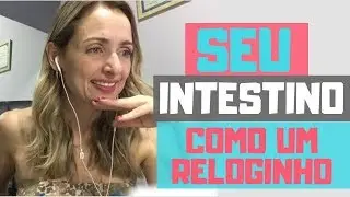 INTESTINO PRESO - COMO FAZER ELE FUNCIONAR TODOS OS DIAS