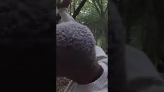Sheep Inc. Cardigan - Kibrea Carmichael