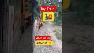 Toy Train Udaipur 🚄 #viralvideo #shortsfeed #trendingnow #song #travel