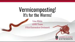 Vermicomposting! It&rsquo;s for the Worms