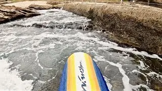 RARE NOVELTY WAVE SURFING IN SYDNEY HARBOUR