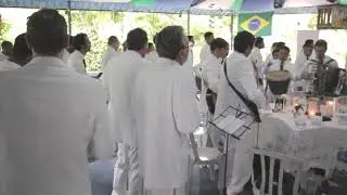 Padrinho Alfredo - Em Pé Firme na Floresta