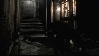 Gate keeper dog