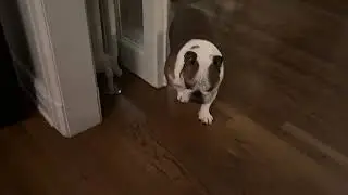 WOKE her UP