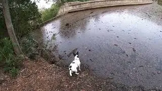 Taking a group to the old George dam