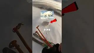 Лыжник приручил лютого волка