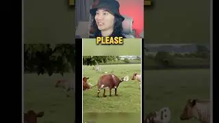 Детские рисунки в реальной жизни