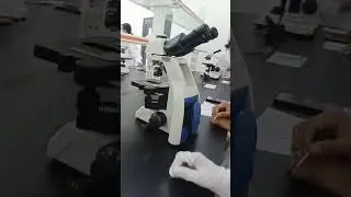 laboratory plant cell  at animal cell
