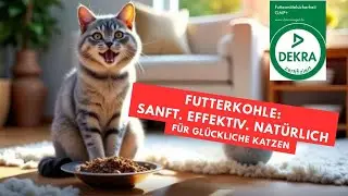 Bye-bye Durchfall & Erbrechen &ndash; CarboVerte f&uuml;r Katzen