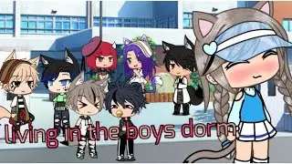 Living in the boys dorm /glmm/