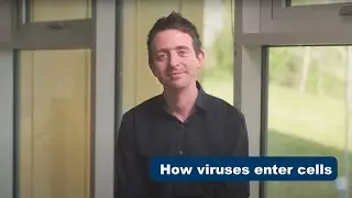 How viruses enter cells - Dr Joe Grove