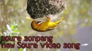 Sora sonpeng Soura new video song