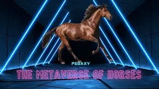 PEGAXY A Horse Racing Metaverse Game