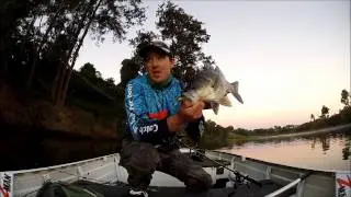 zman swimmerz bass