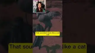 I&rsquo;m calling for my chocobo, not hitting on it #youtubegaming #youtubestreaming #finalfantasy16