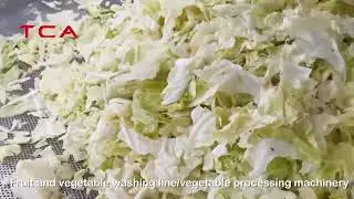 200-2000kg leaf vegetable salad processing line all in one frozen vegetable production line