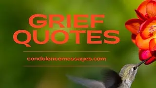Grief Quotes