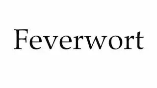 How to Pronounce Feverwort