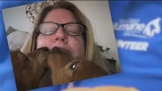 All-star volunteer dog walker is a animal shelter's best friend