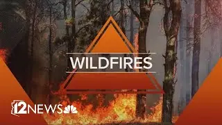 Wildfires burning in Arizona: Morning update for Aug. 5