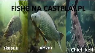 NPG | Przypłynięcie fishów (sejber na deskach) | Castplay.pl