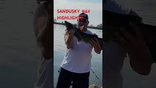 Sandusky Bay. #Sanduskybay #Channelcatfish #Catfish