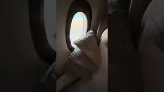 EMIRATES A350 Super Comfortable Business Class Suite