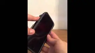 Incipio DualPro Shine iPhone 6